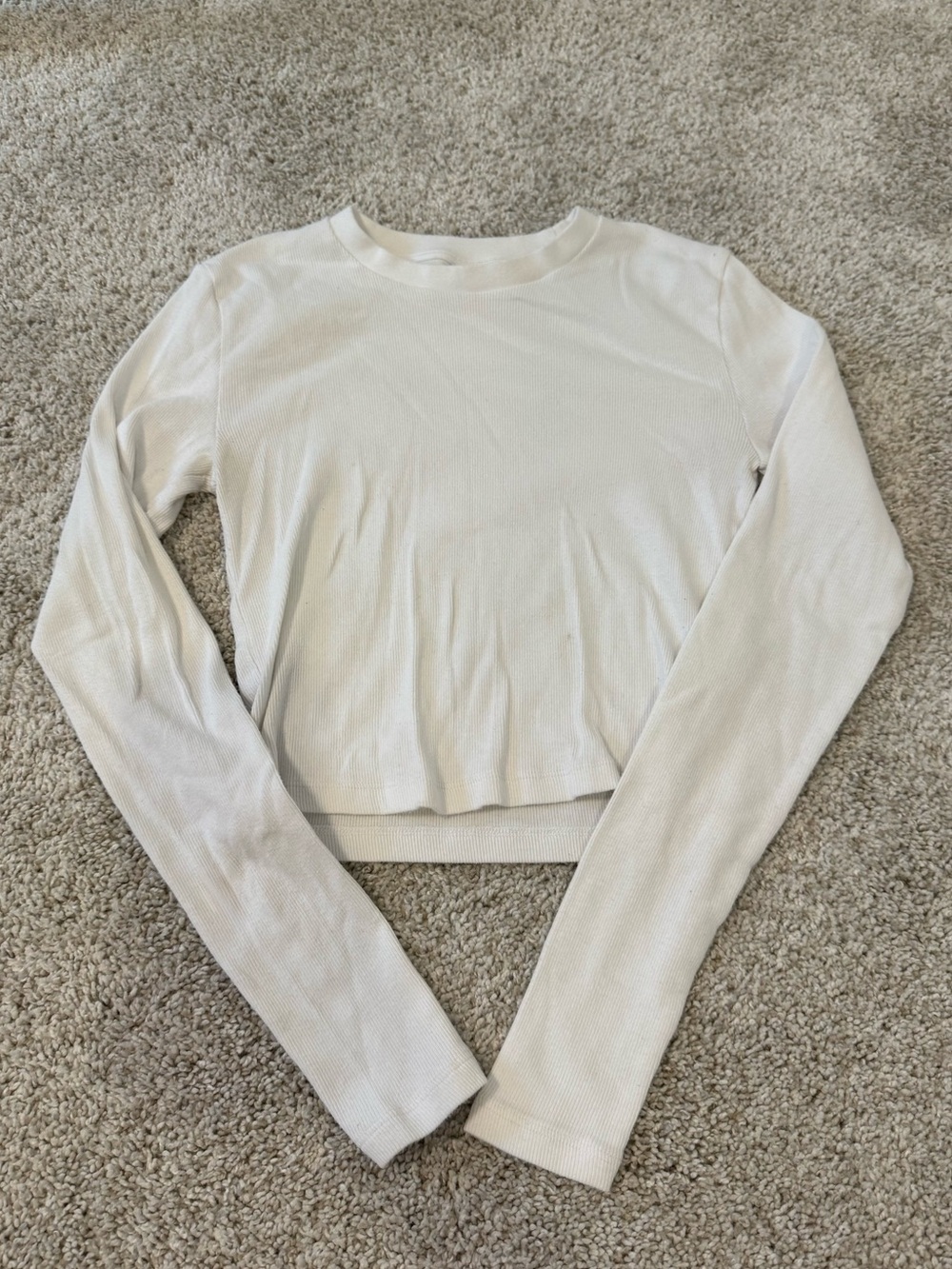 Aritzia Long Sleeve Crewneck Top